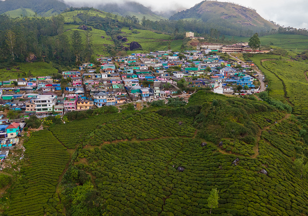 Munnar Tea Country Resort (Munnar)
