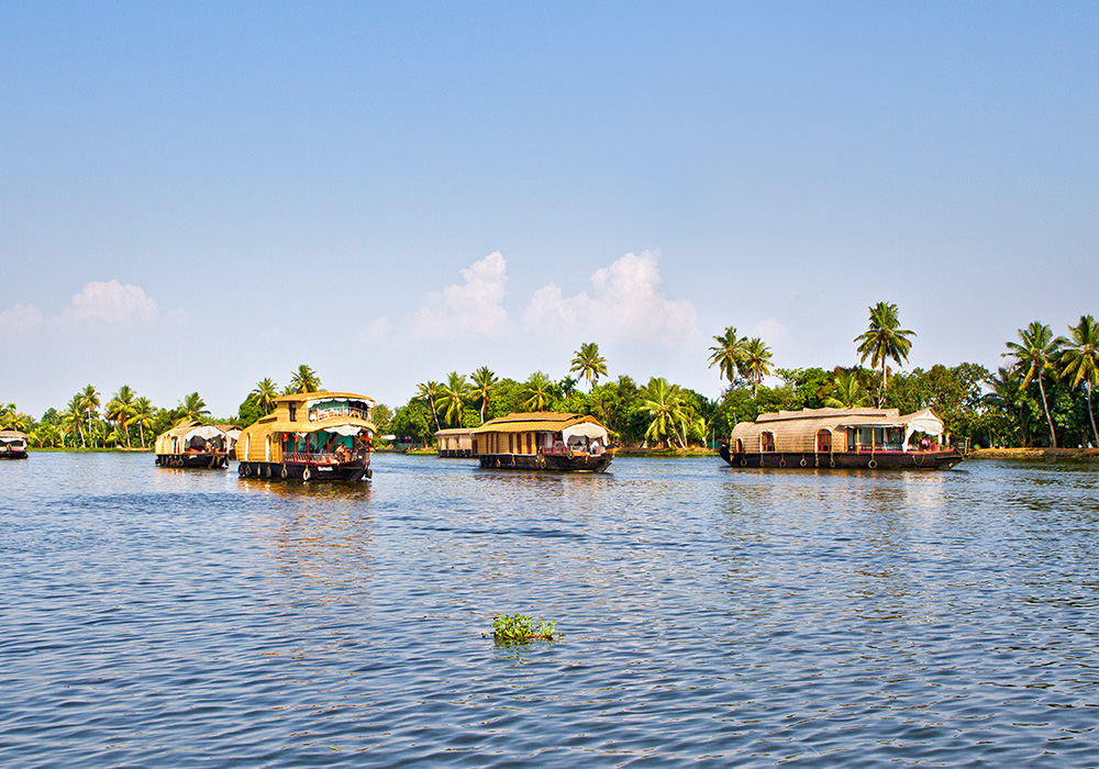 Pagoda resorts (Alleppey Houseboat/Resort)