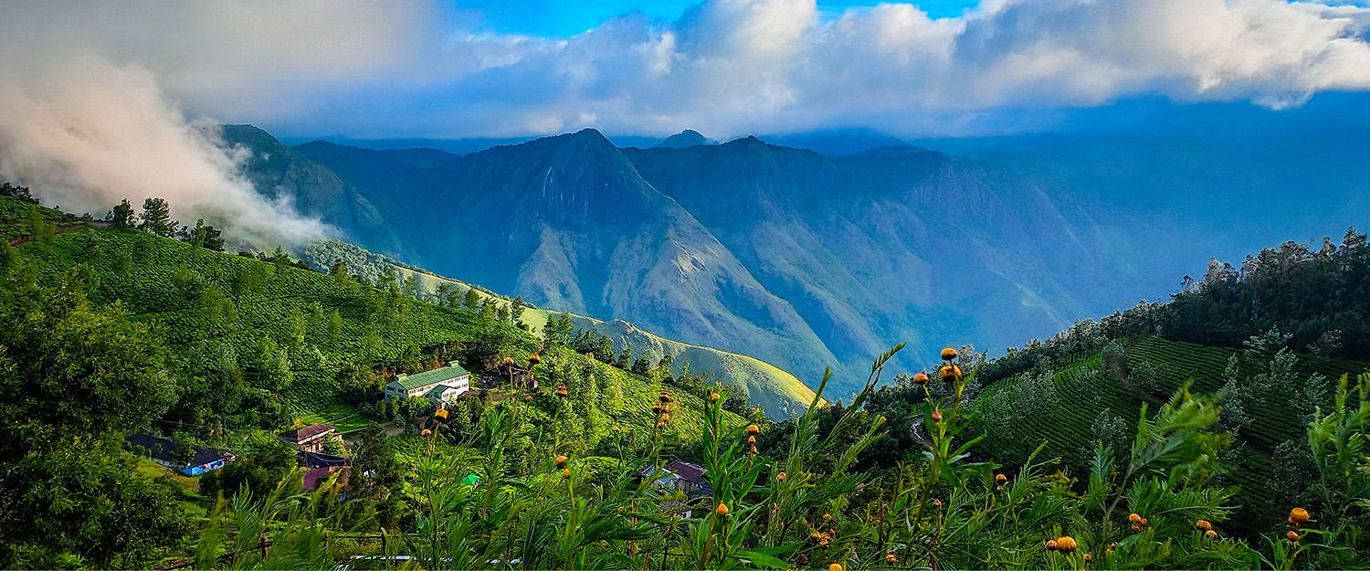India Seasonal Vacation Package