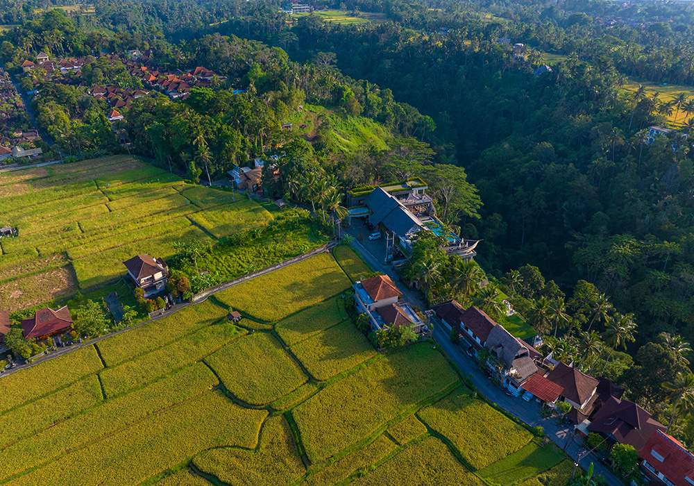 Pertiwi Bisma 2 Ubud