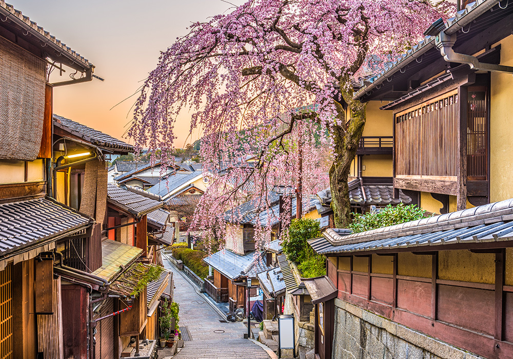 THE BLOSSOM KYOTO