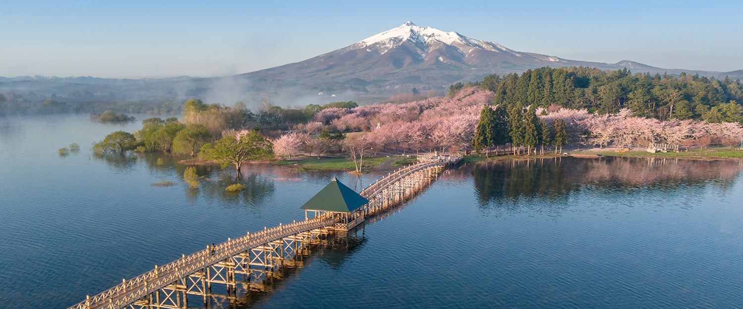 Japan Solo Vacation Package