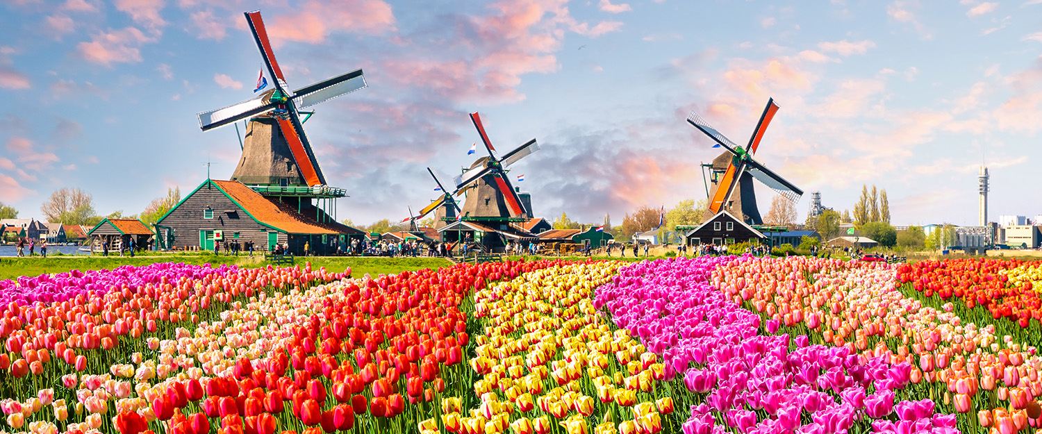 Netherlands Solo Vacation Package