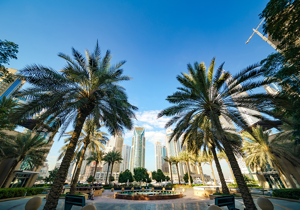 Ibis Al Barsha Dubai